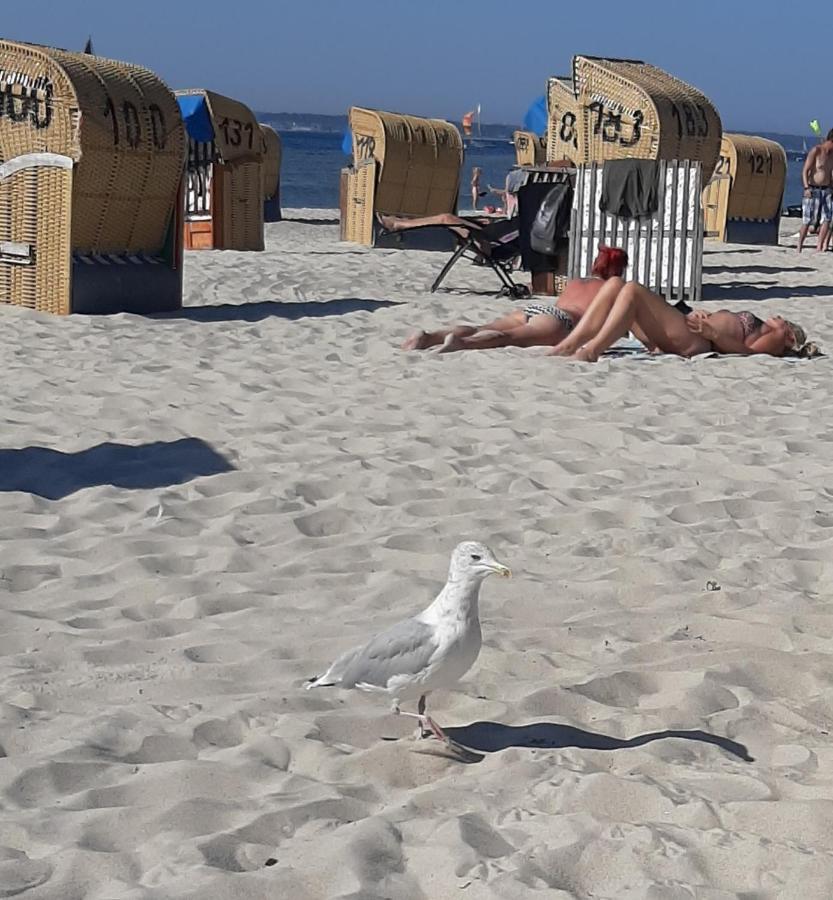 Penthouse Ferienwohnung Auszeit, Gerne Mit Hund, Wlan Inkl. Laboe Exteriör bild